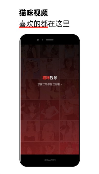 猫咪视频app图1