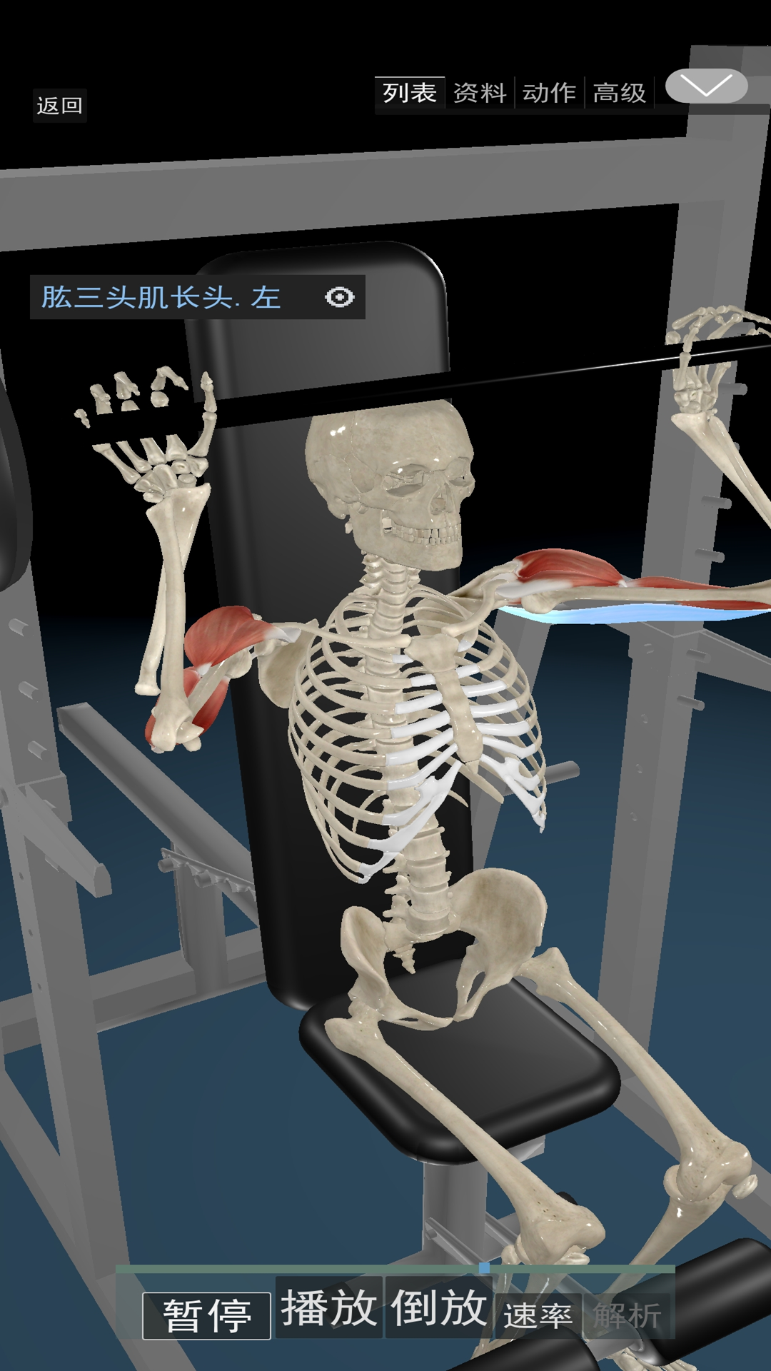 3D运动解剖app图1