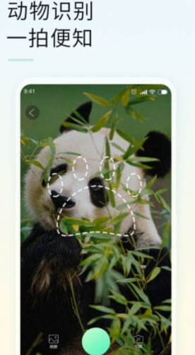 智能拍照识物app图1