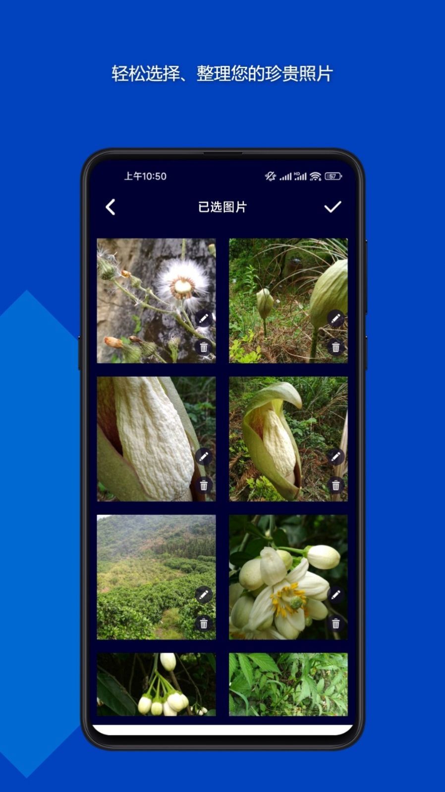 魔法音乐相册软件