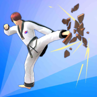 Taekwondo游戏图标