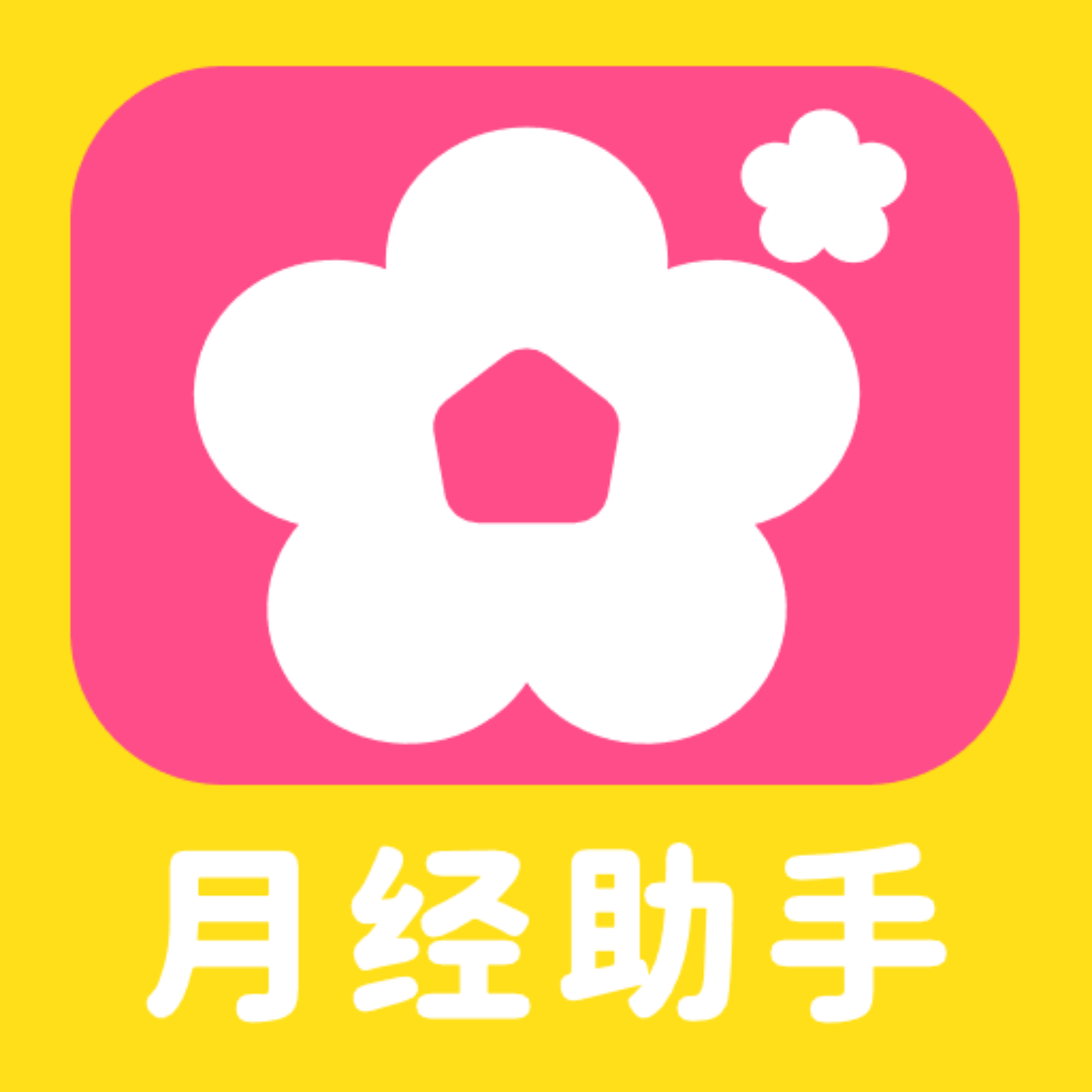 柚子姨妈记app图标