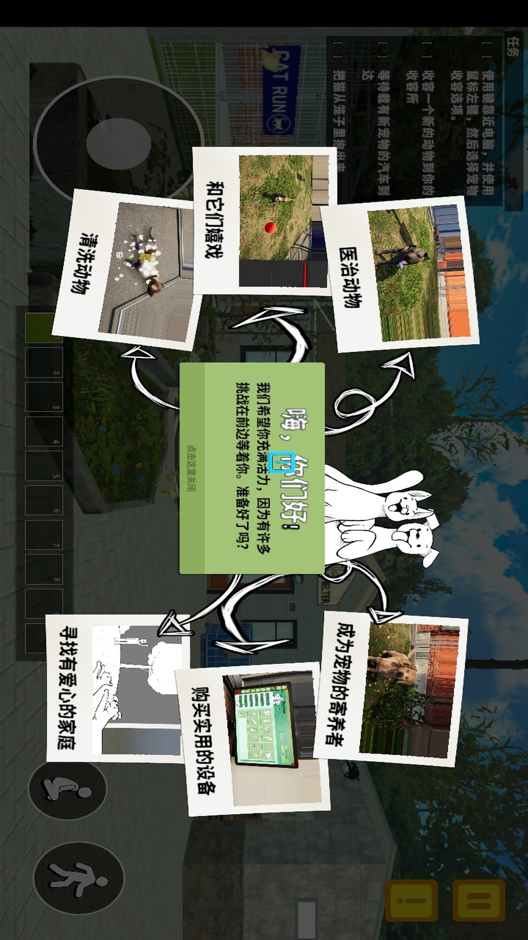 猫舍与动物之友游戏图3