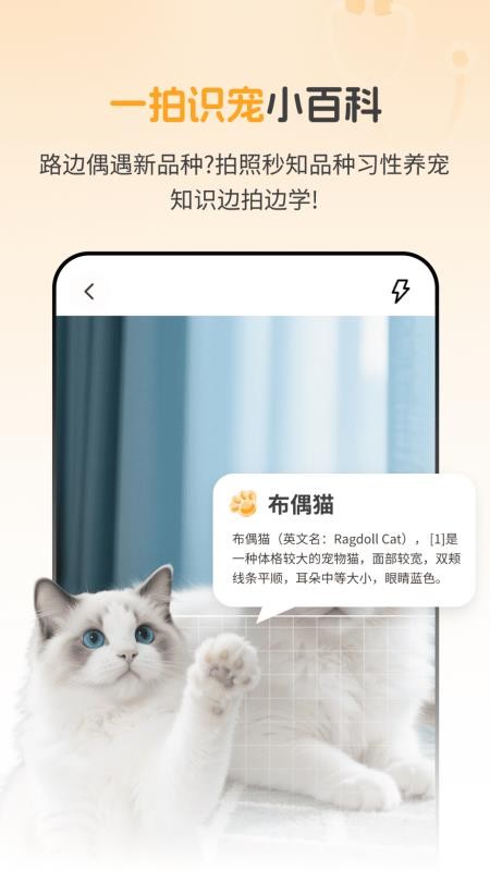 AI宠物问诊app图3