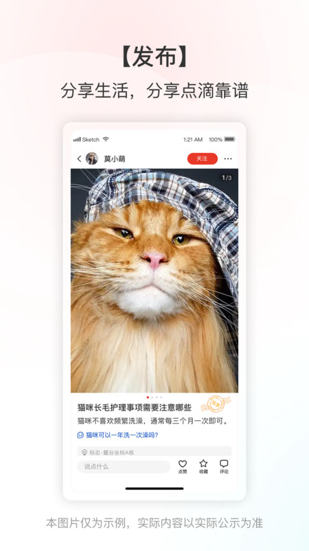 靠谱帮app图3