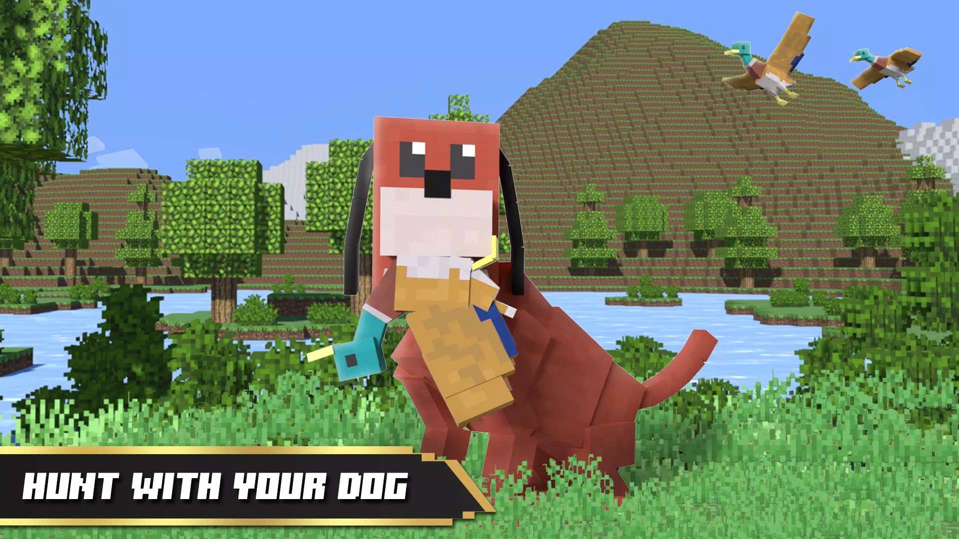 鸭子狩猎3D(Duck Hunt 3D)图3