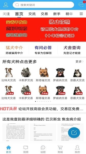 猛犬俱乐部app图2