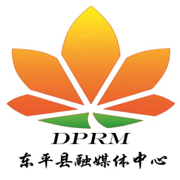 东平手机台app图标