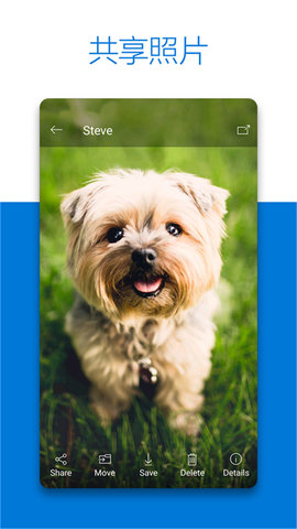 OneDrive app图3