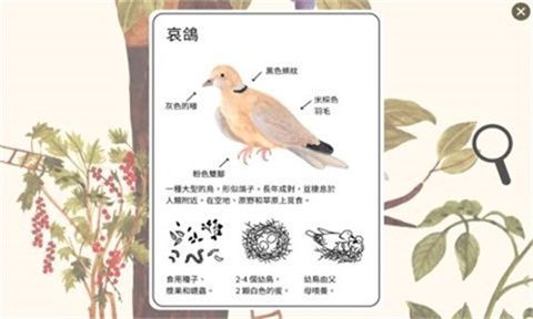 小棕鼠百科手机版