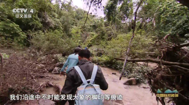 连播TV软件图1