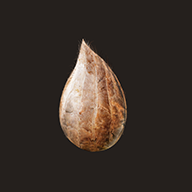 Mitoza游戏图标