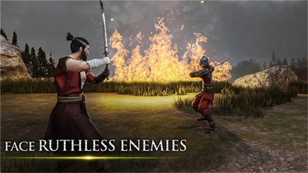 忍者武士隆图3