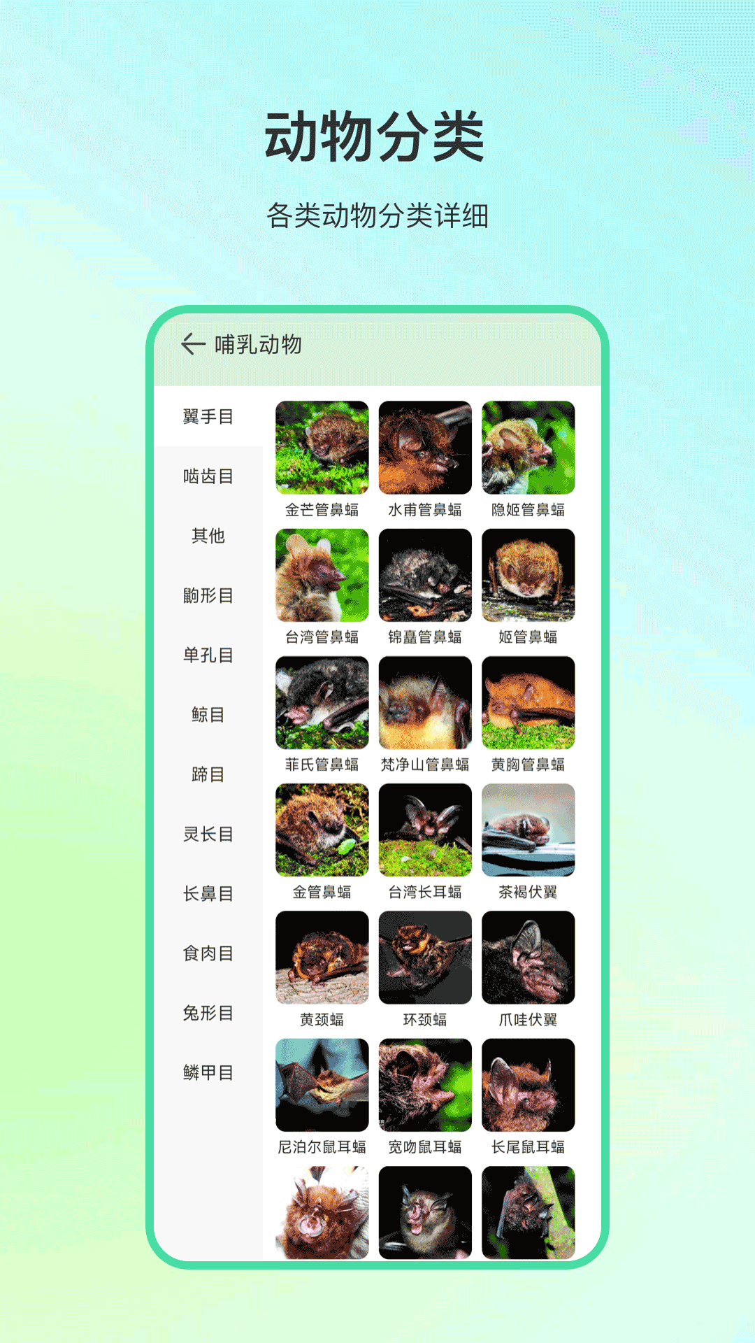 动物百科app图1