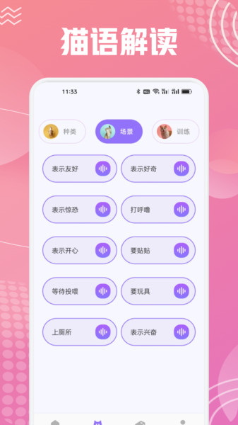开心猫舍喵语app图1