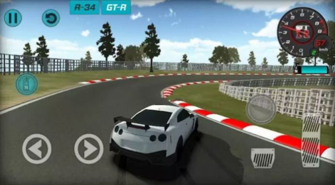 Car Simulator Skyline最新版图2