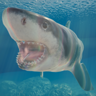 Shark最新版图标