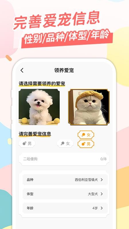 桌面宠app图2