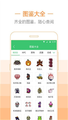 泰拉瑞亚助手4399版图2