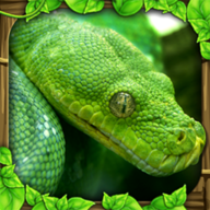 Snake Sim手游图标