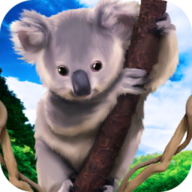 考拉家族模拟器(Koala Family Simulator - try Australian wildlife!)图标