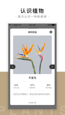 花田小憩app图2