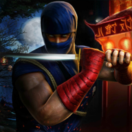 忍者格斗狂欢（Ninja Fighting Spree）图标