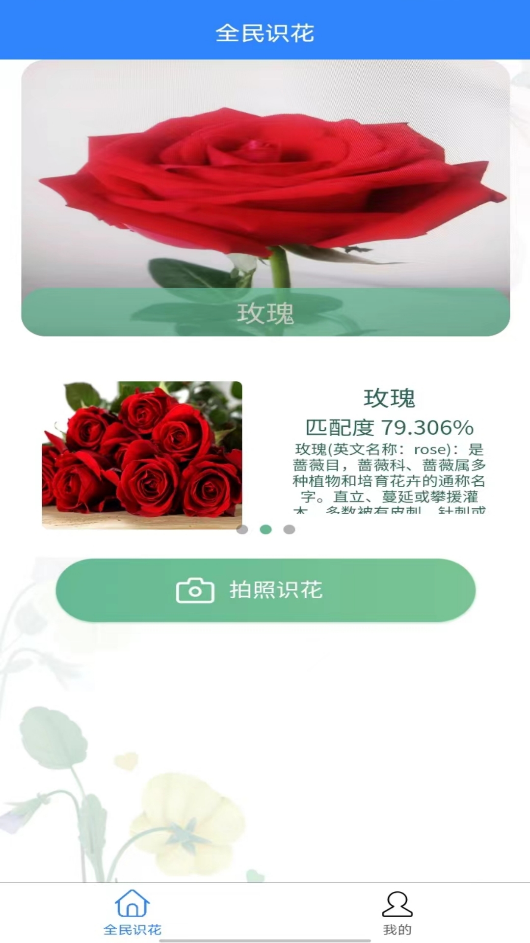 全民识花app图1