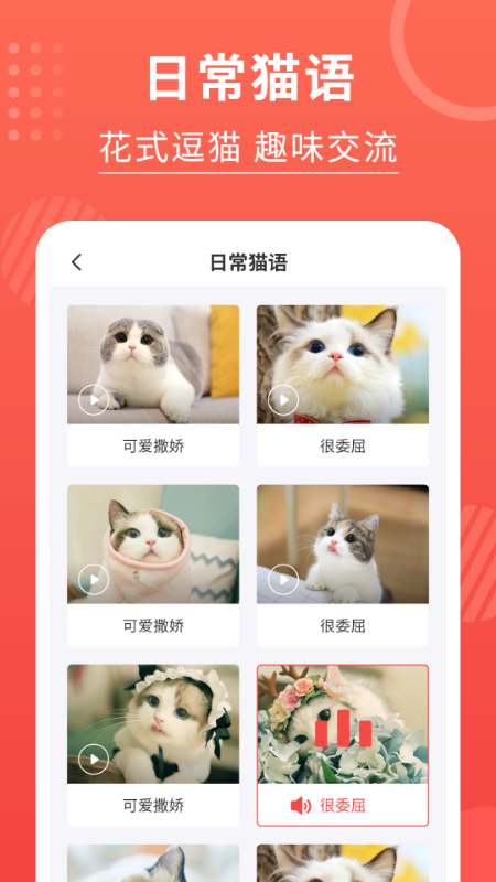 猫猫翻译器软件图3