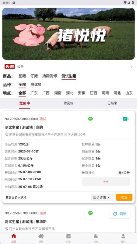 猪悦悦app图3