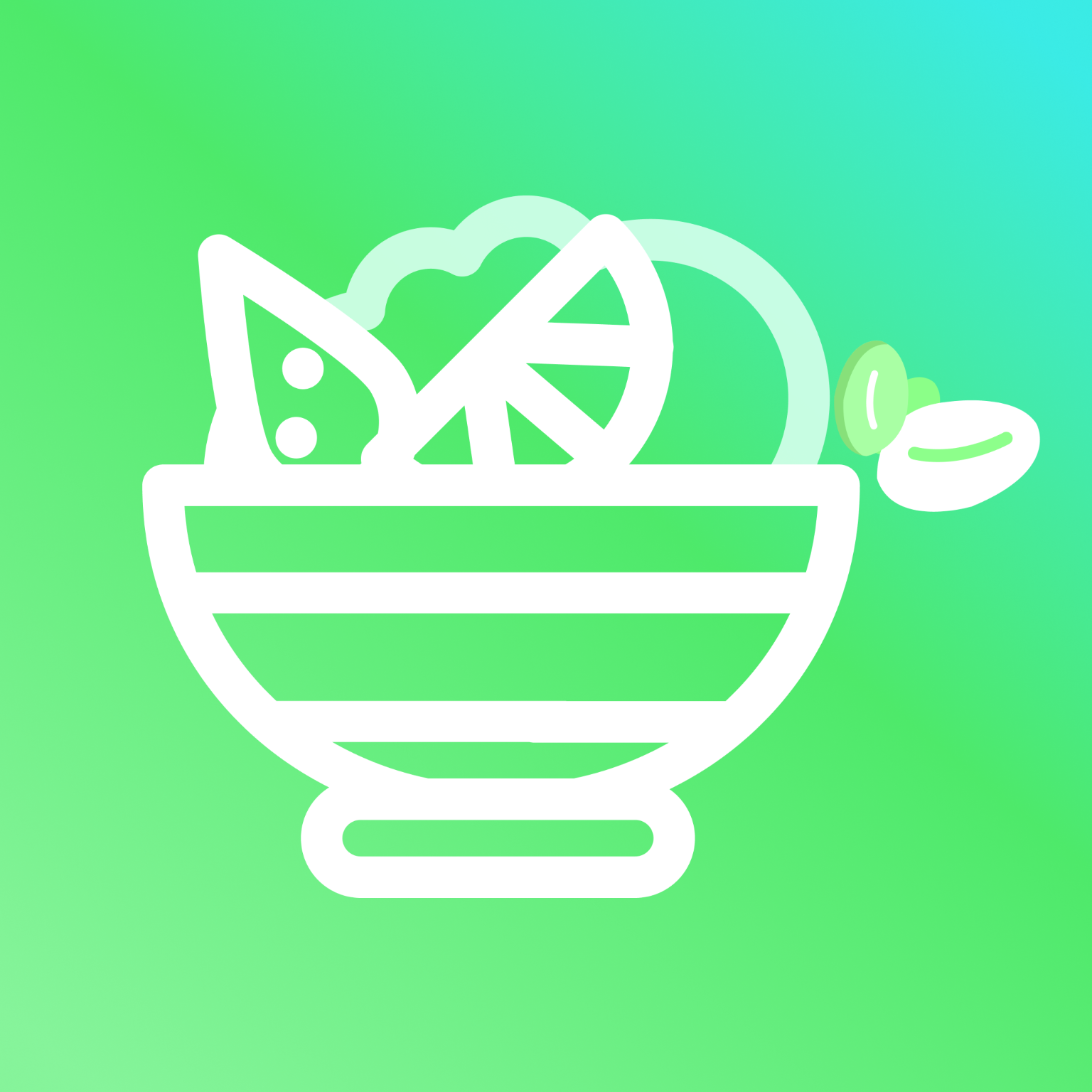 每天轻断食软件图标