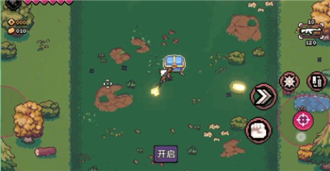 AK蝾螈图2