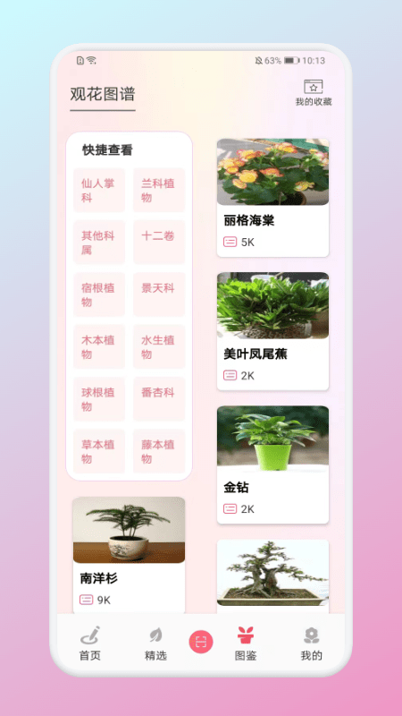 养花小助手app