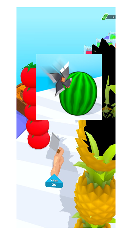 Food Slice手机版图2