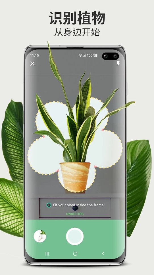 Blossom软件图3