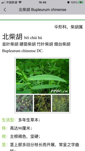 晓草app图2