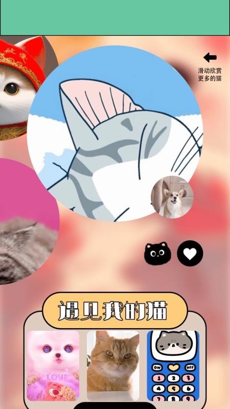 ymbollab软件图2