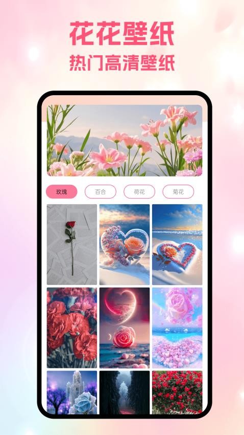 风信app