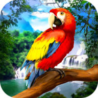 Jungle Parrot Simulator - try wild bird survival!安卓版图标