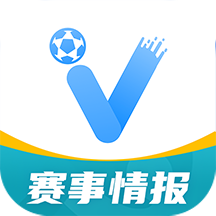 V站软件图标
