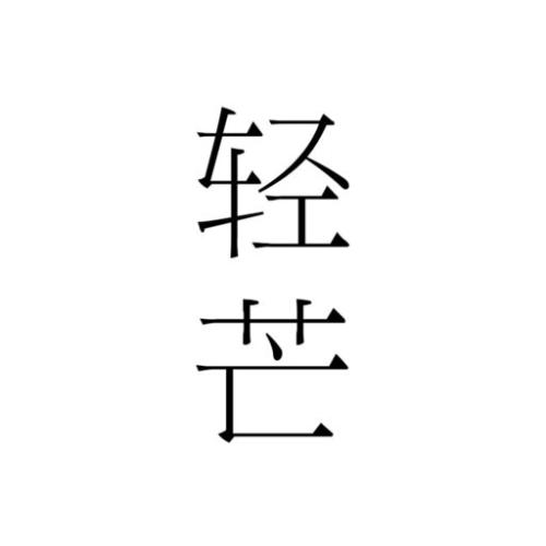 轻芒阅读app图标