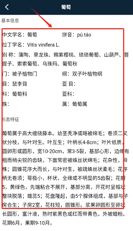 plantae软件图3