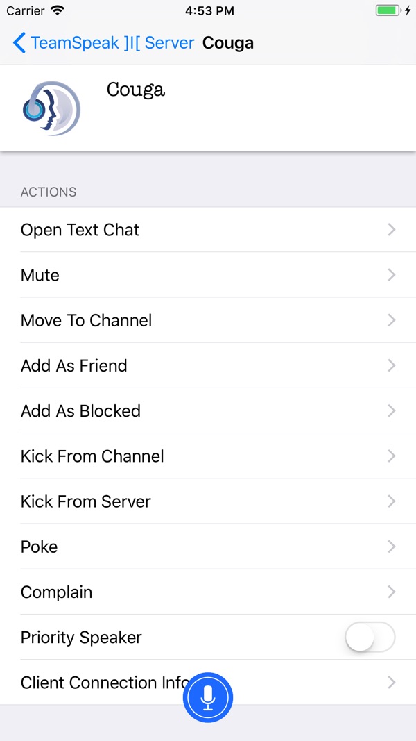 TeamSpeak app图2