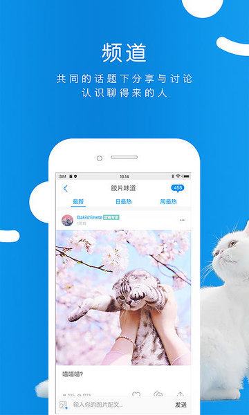 same软件图3