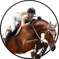 Horse Racing and Jumping Simulator 2018官方版图标