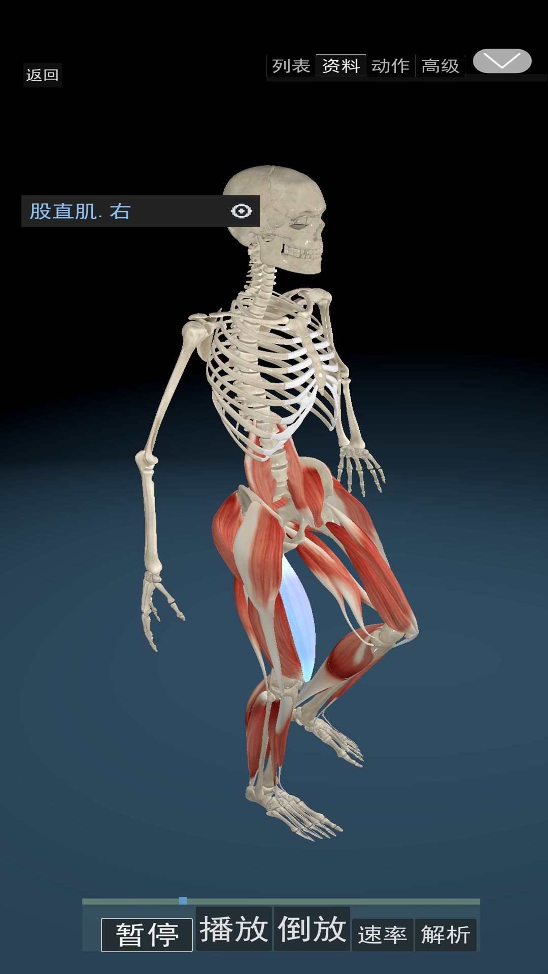 3D运动解剖app图2