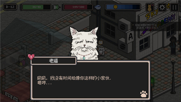 流浪猫的故事图3