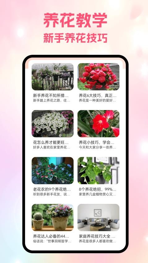 风信app图1
