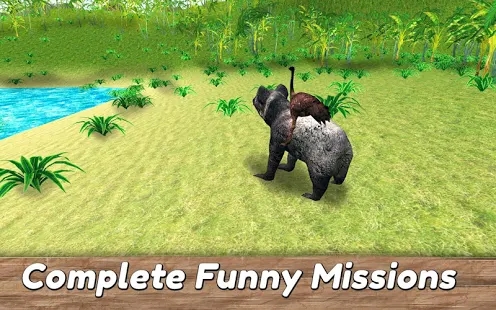 考拉家族模拟器(Koala Family Simulator - try Australian wildlife!)图2