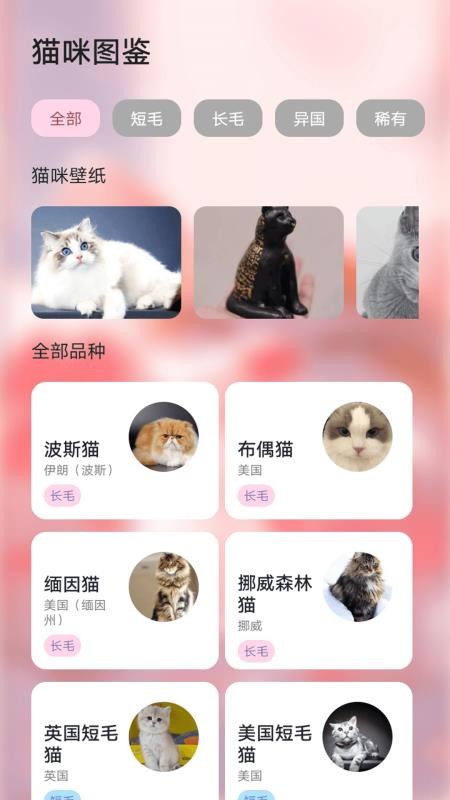 ymbollab软件图3